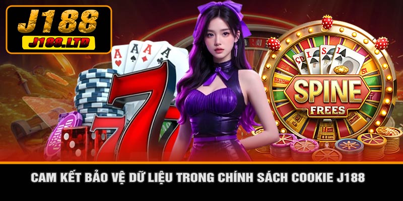 Cam Kết Bảo Vệ Dữ Liệu Trong Chính Sách Cookie J188