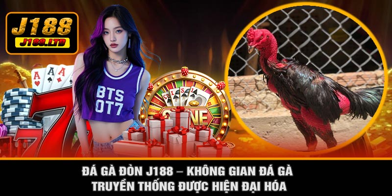 Đá Gà Đòn J188 – Không Gian Đá Gà Truyền Thống Được Hiện Đại Hóa