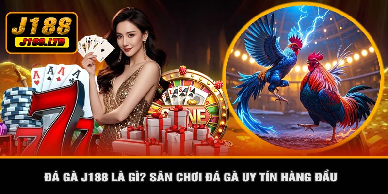 Đá Gà J188 Là Gì? Sân Chơi Đá Gà Uy Tín Hàng Đầu