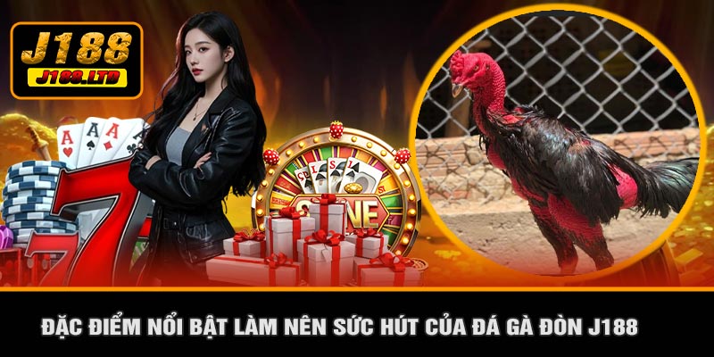 Đặc Điểm Nổi Bật Làm Nên Sức Hút Của Đá Gà Đòn J188