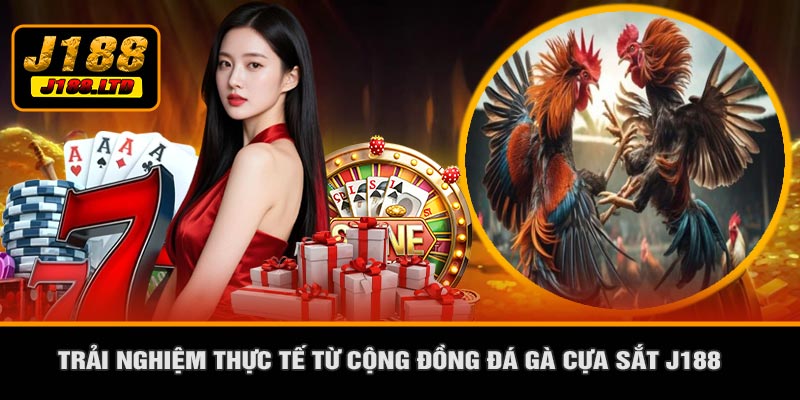 Trải Nghiệm Thực Tế Từ Cộng Đồng Đá Gà Cựa Sắt J188