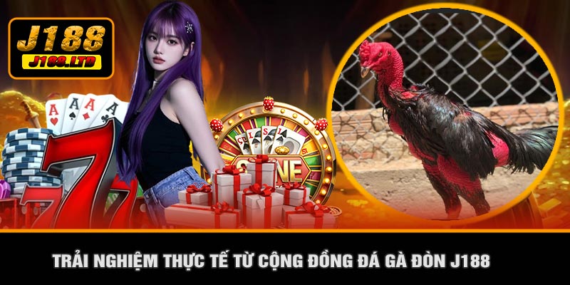 Trải Nghiệm Thực Tế Từ Cộng Đồng Đá Gà Đòn J188