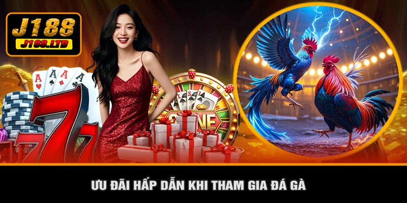 Ưu Đãi Hấp Dẫn Khi Tham Gia Đá Gà